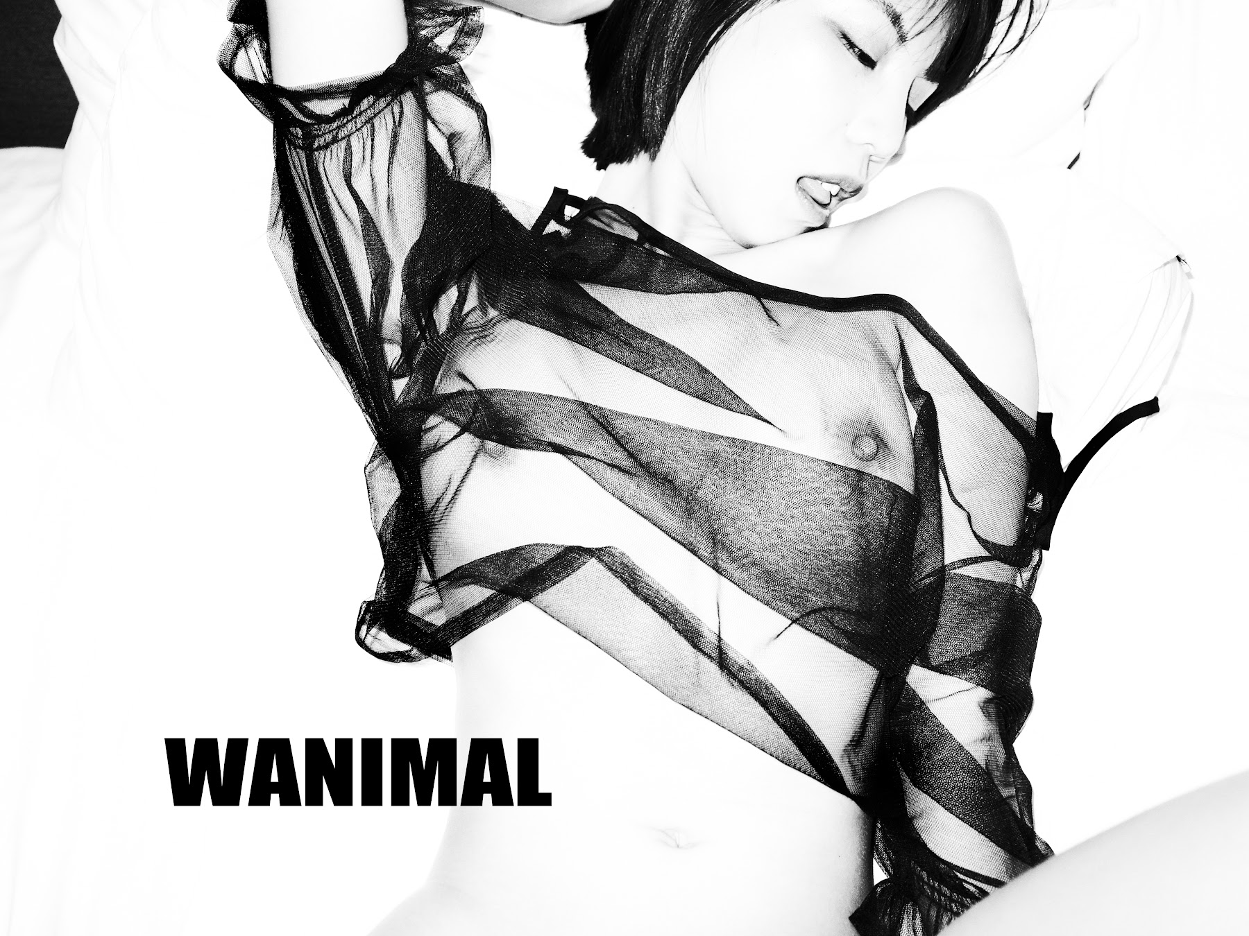 [WANIMAL王动] VIP套图 官方出品 No.09 - P72