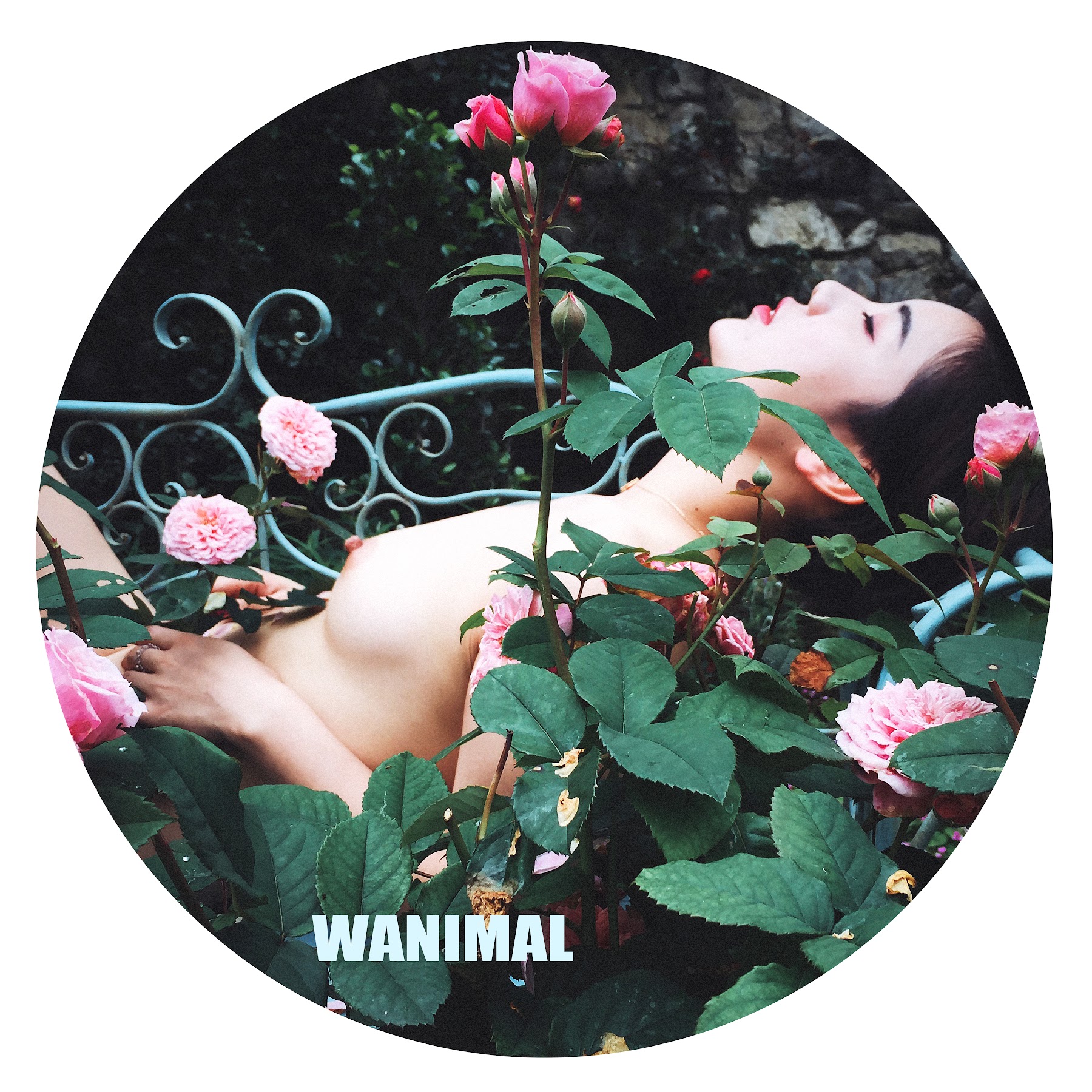 [WANIMAL王动] VIP套图 官方出品 No.10 - P132