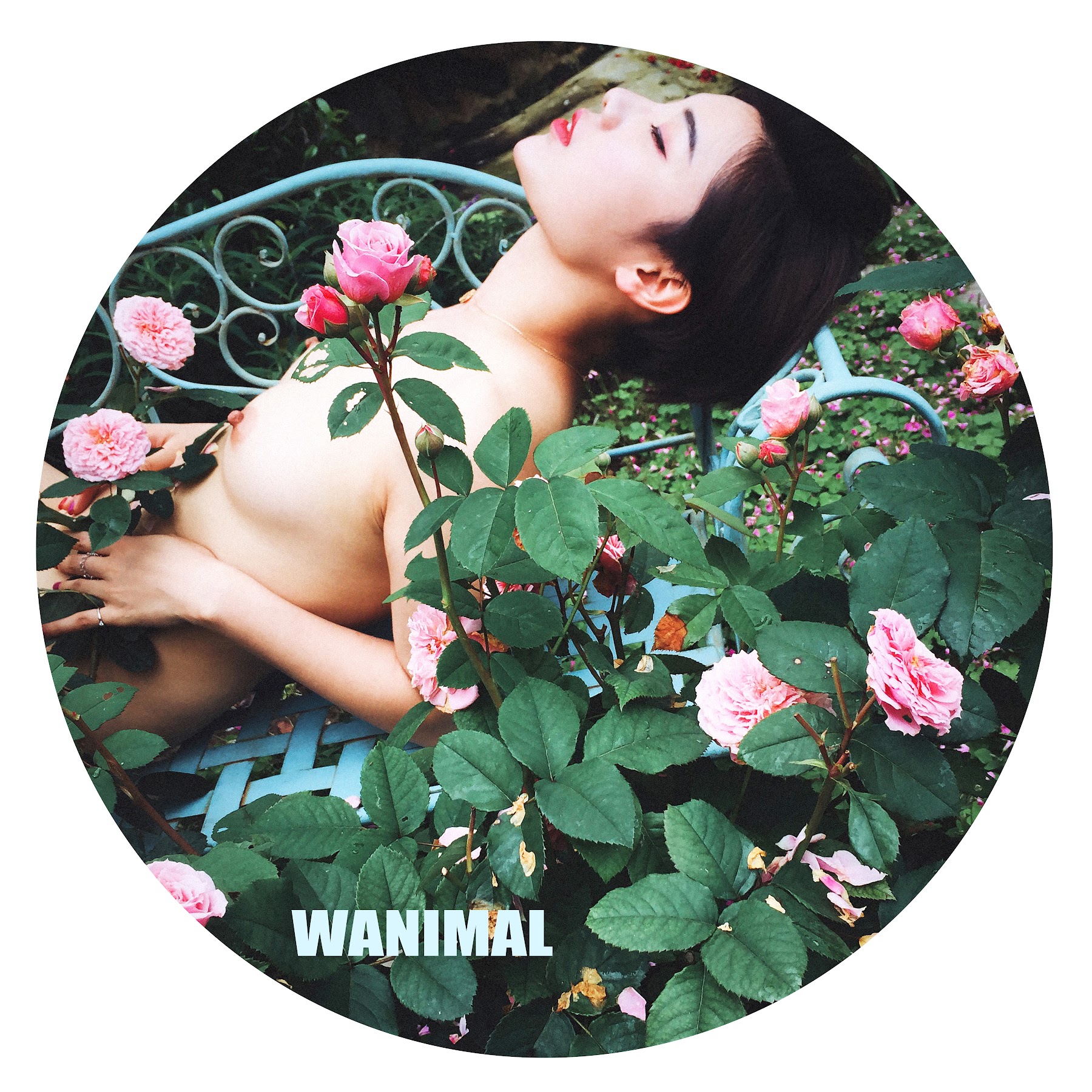 [WANIMAL王动] VIP套图 官方出品 No.10 - P133