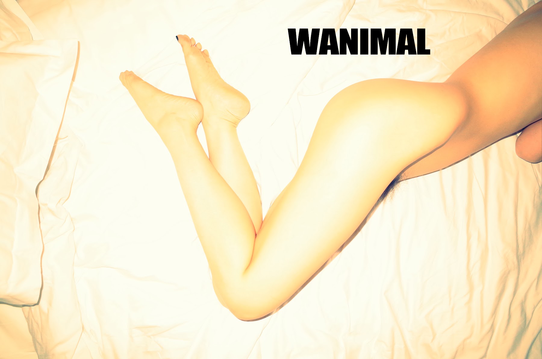 [WANIMAL王动] VIP套图 官方出品 No.10 - P1