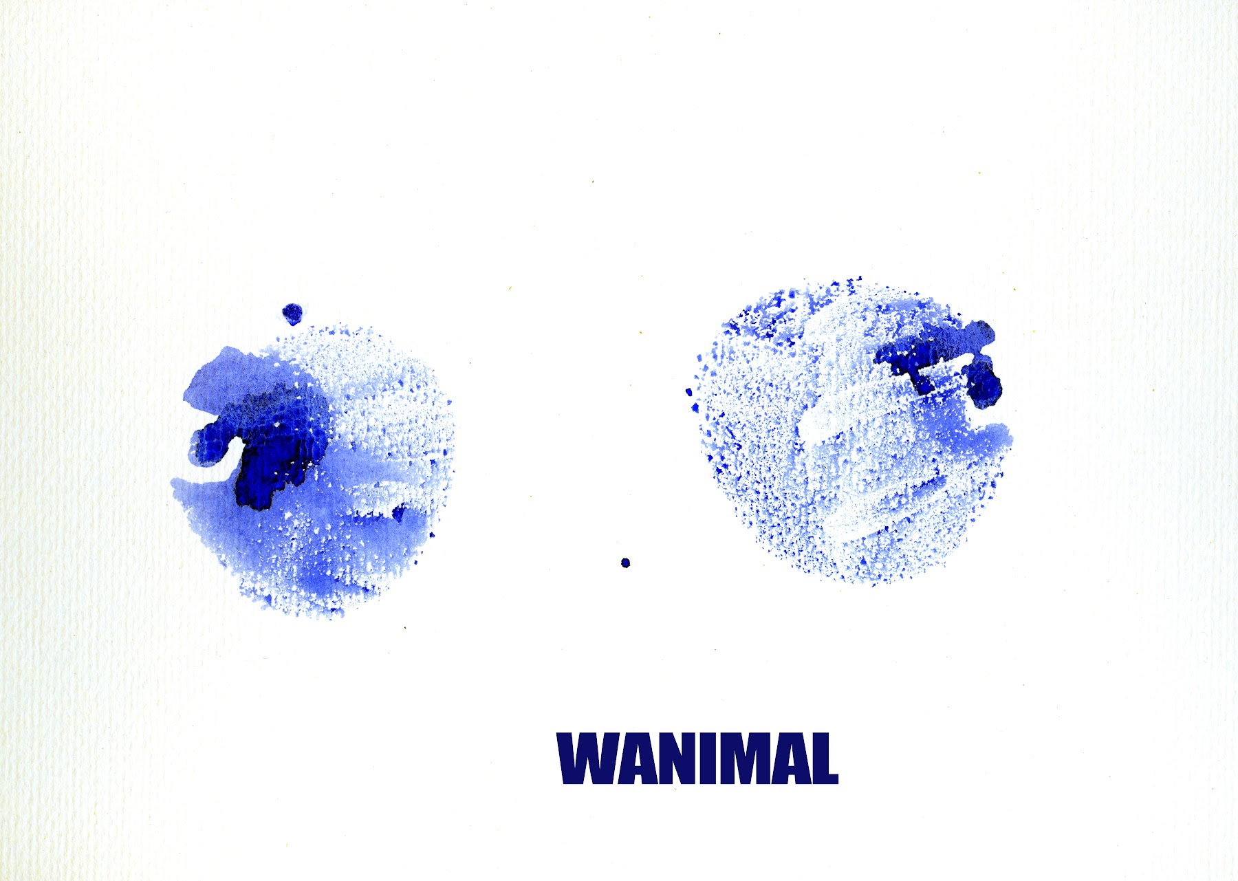 [WANIMAL王动] VIP套图 官方出品 No.10 - P31