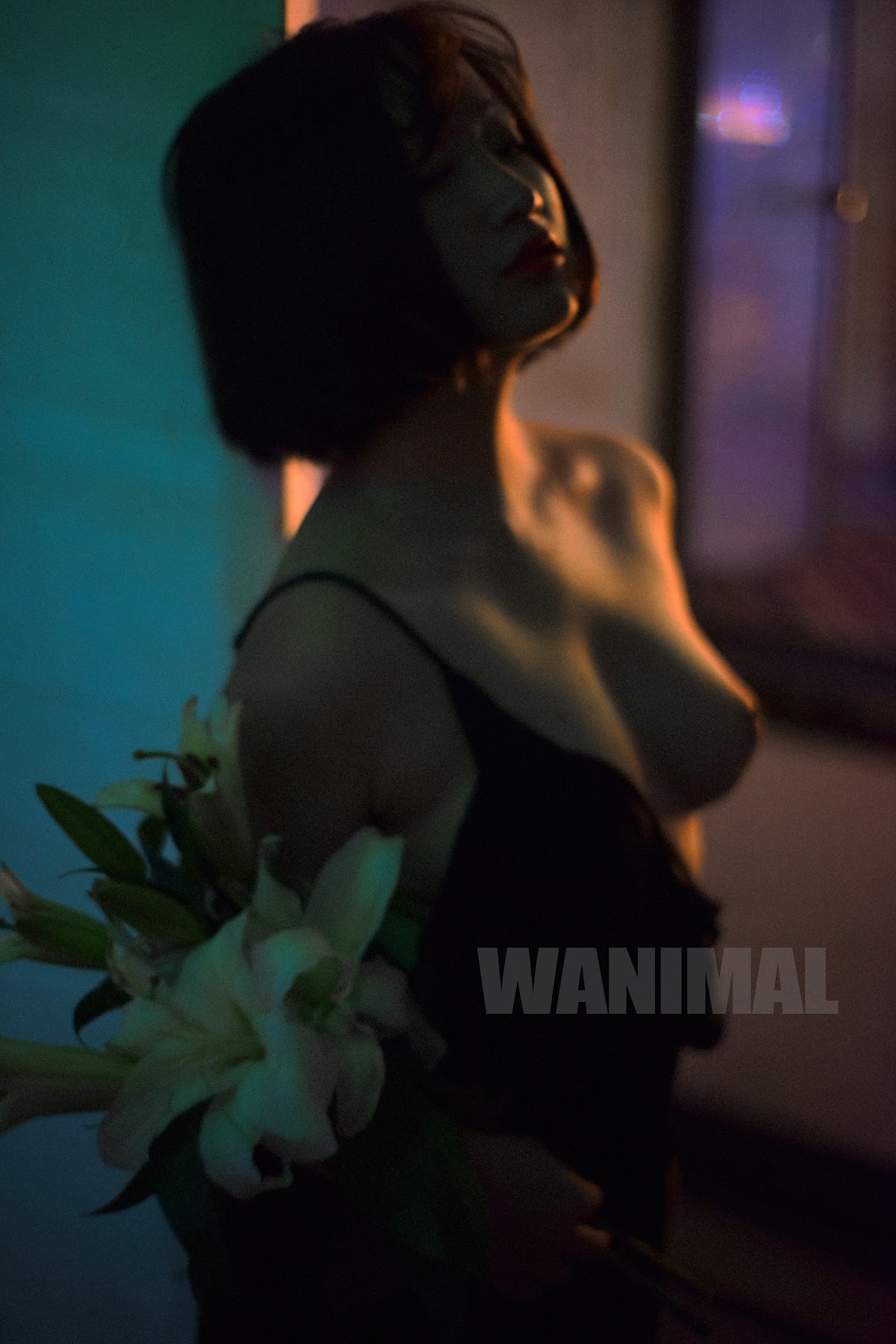 [WANIMAL王动] VIP套图 官方出品 No.10 - P79