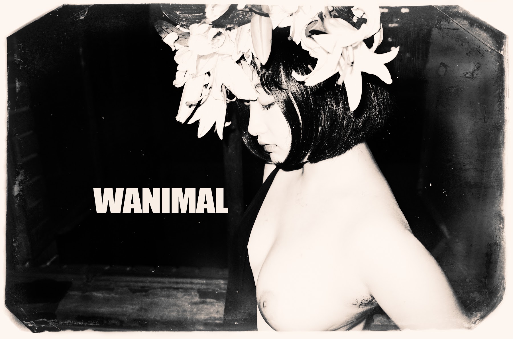 [WANIMAL王动] VIP套图 官方出品 No.10 - P88