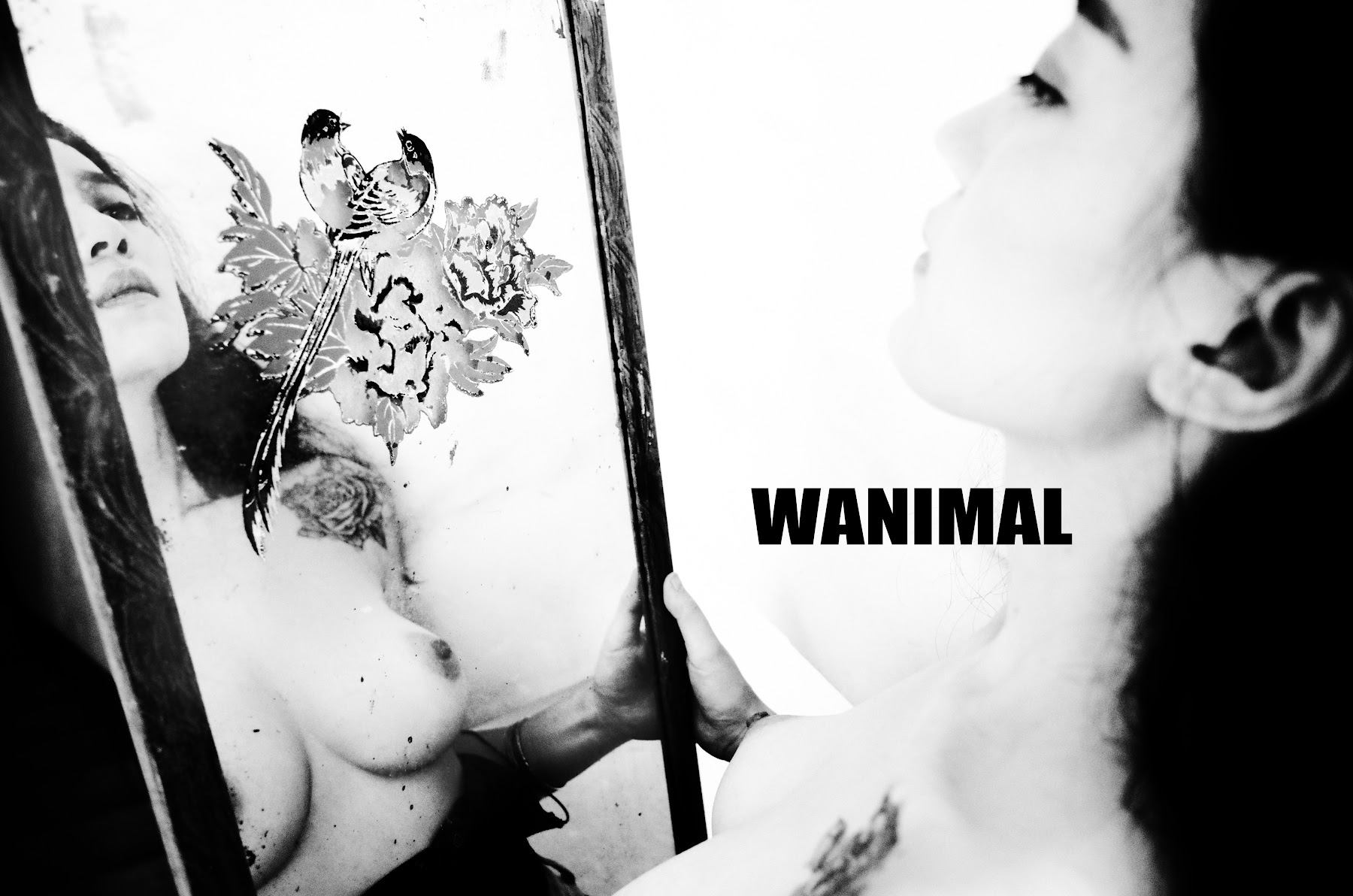 [WANIMAL王动] VIP套图 官方出品 No.11 - P12