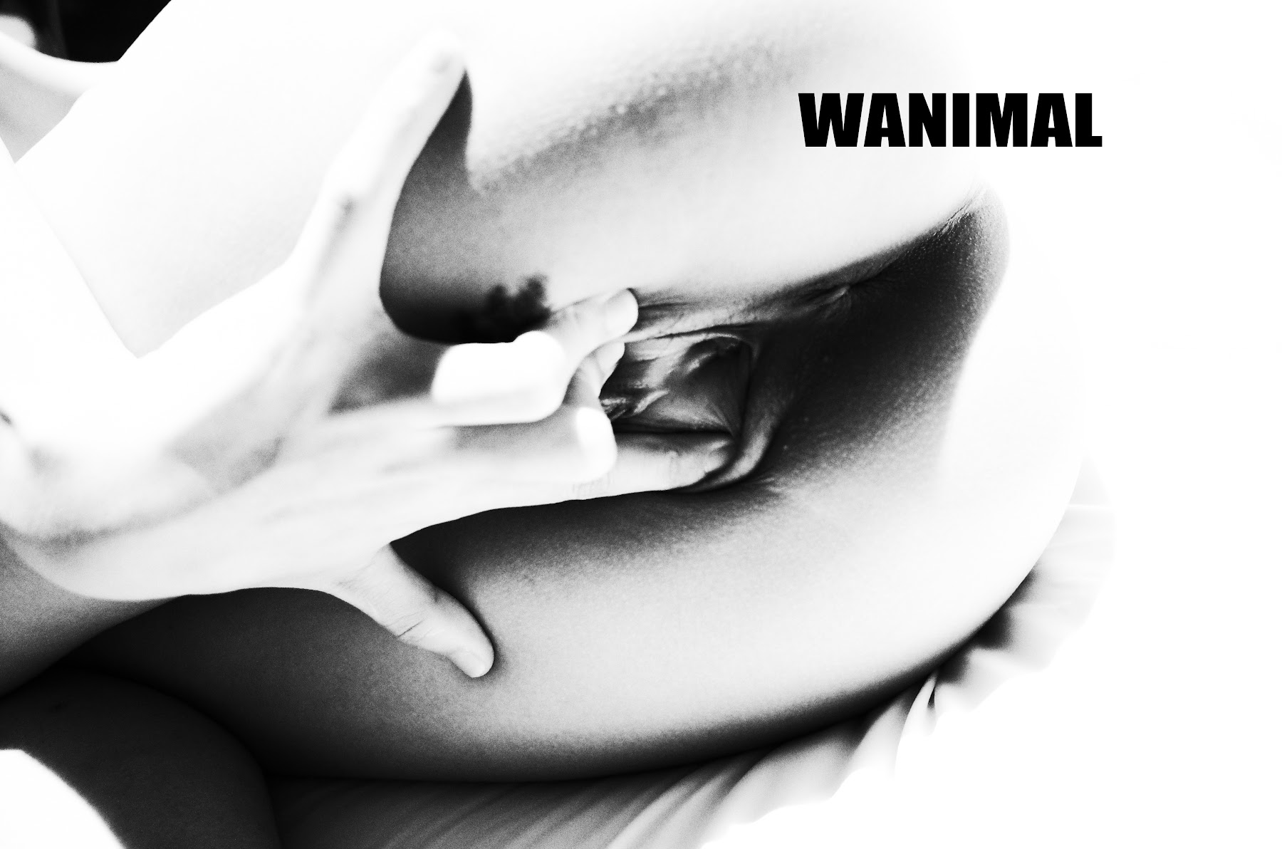 [WANIMAL王动] VIP套图 官方出品 No.11 - P14