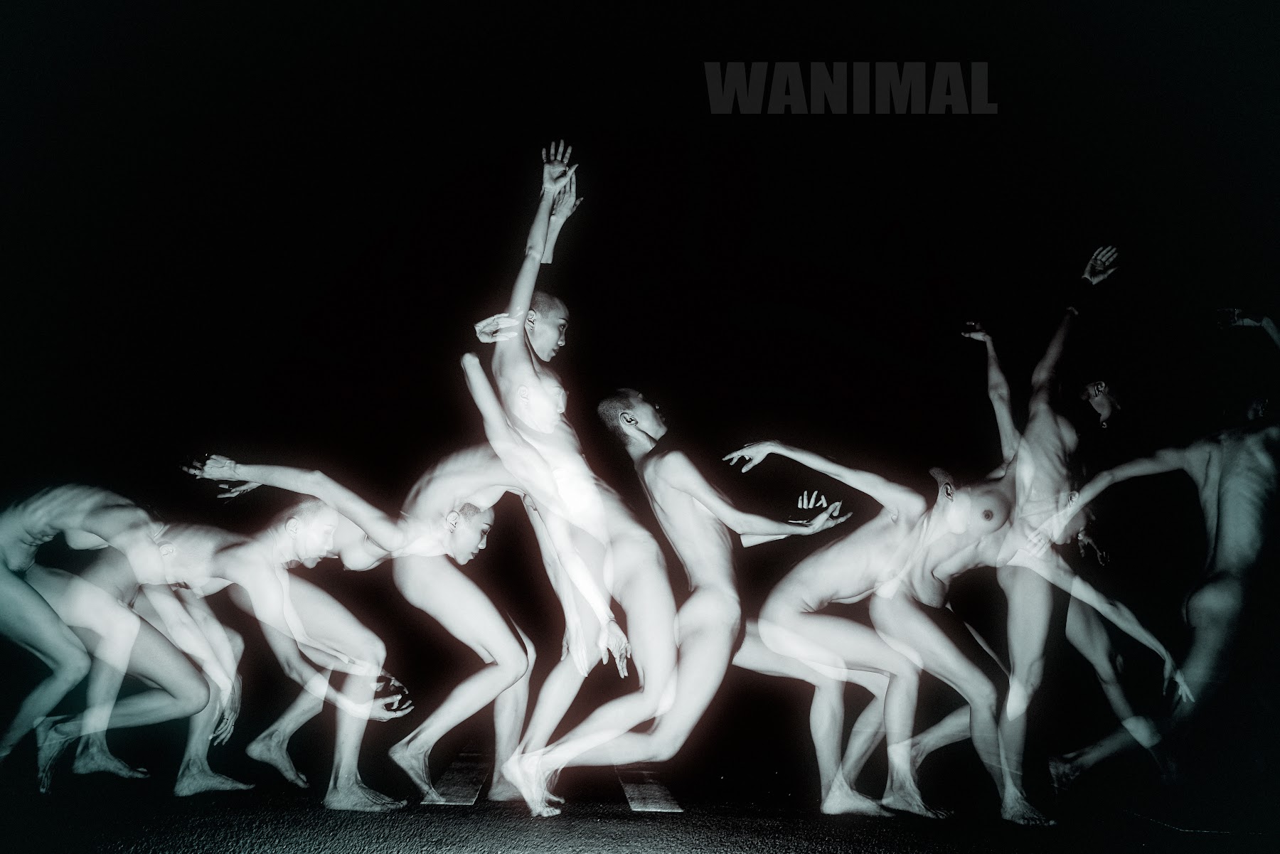 [WANIMAL王动] VIP套图 官方出品 No.11 - P22