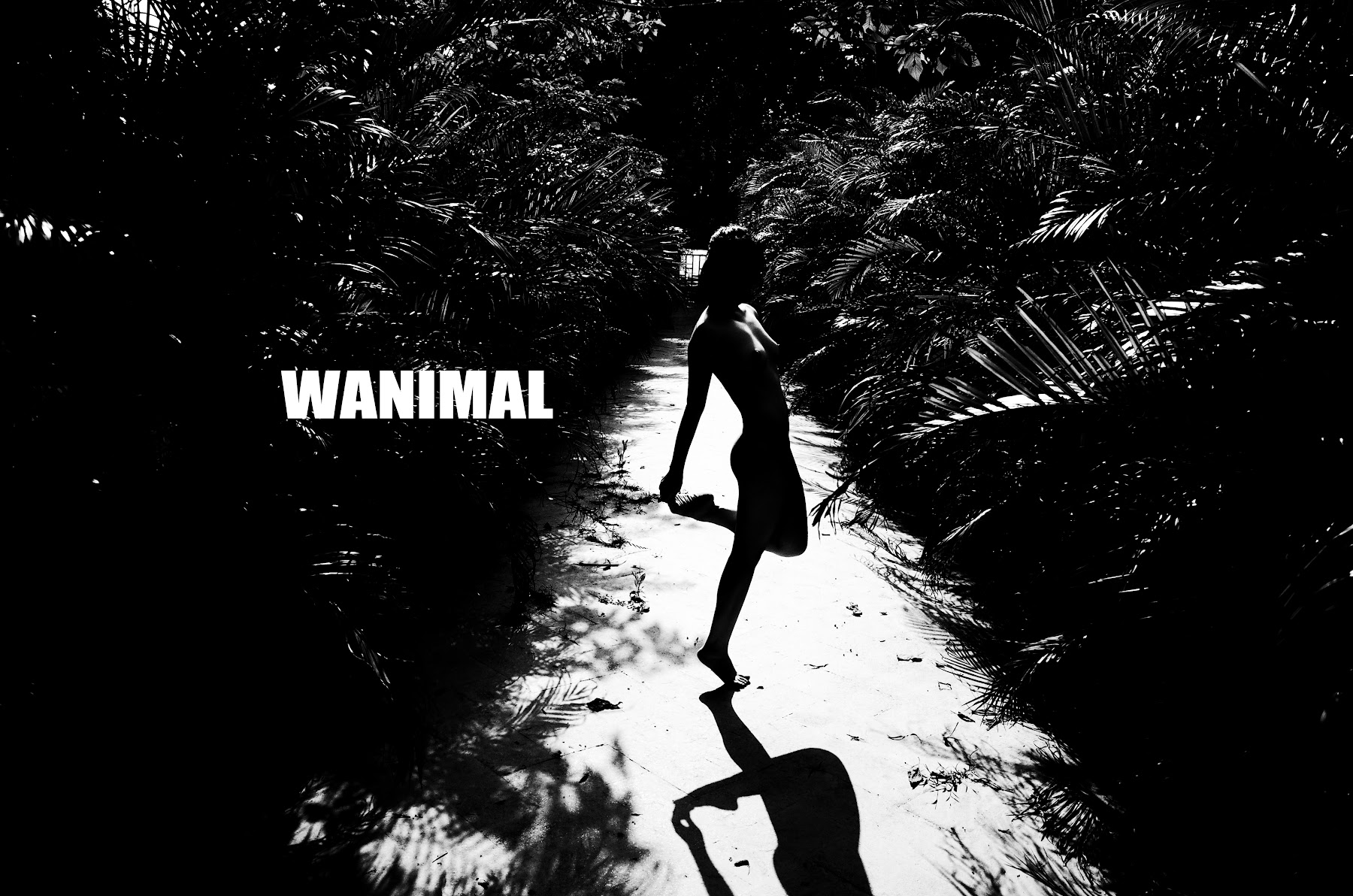 [WANIMAL王动] VIP套图 官方出品 No.11 - P29
