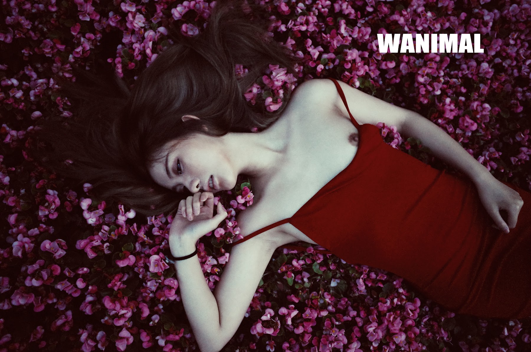 [WANIMAL王动] VIP套图 官方出品 No.11 - P38