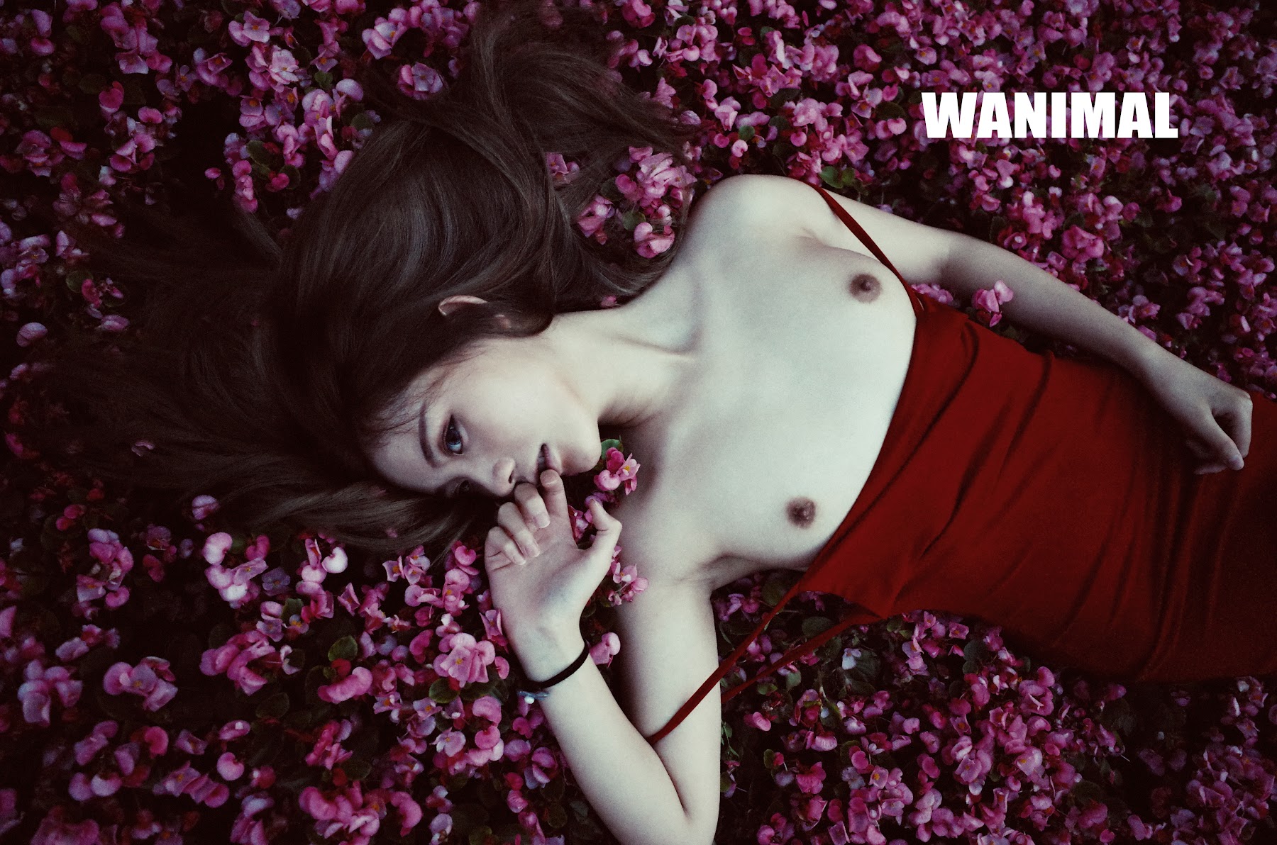 [WANIMAL王动] VIP套图 官方出品 No.11 - P39