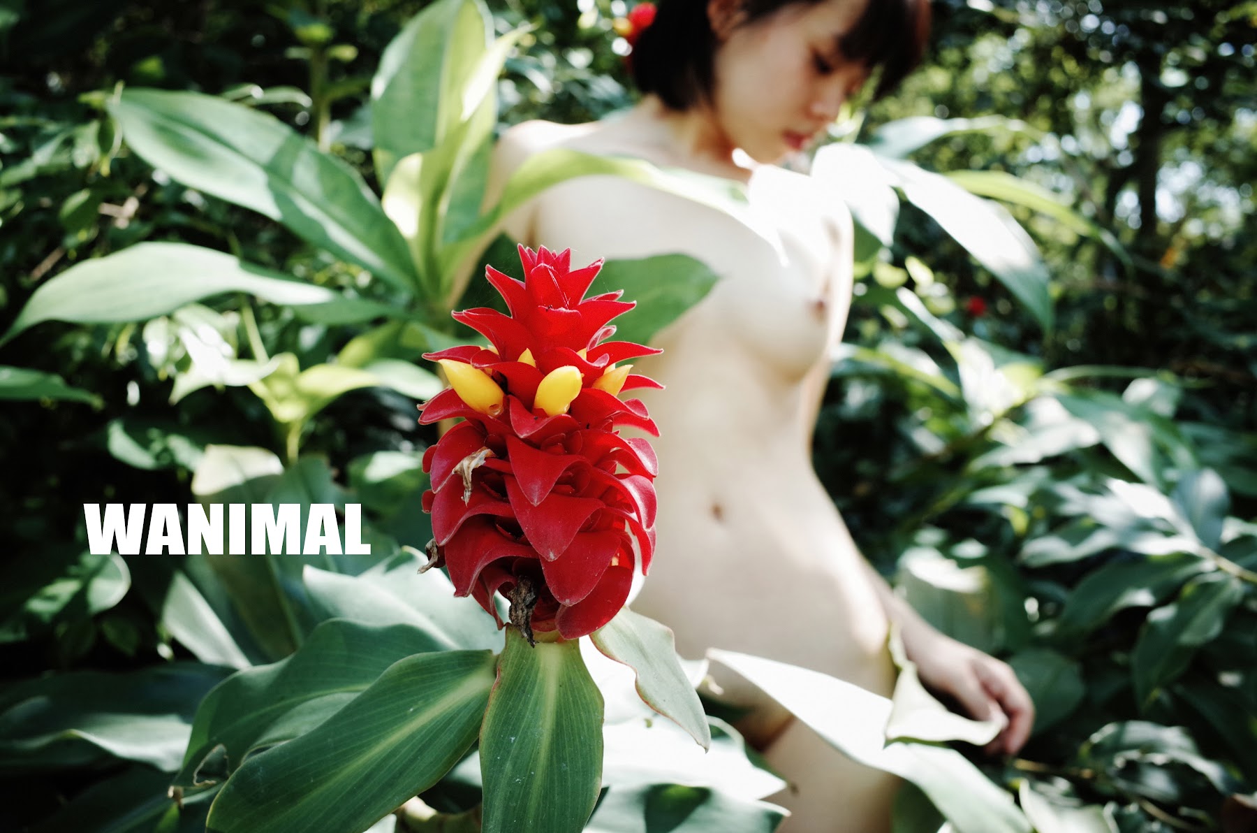 [WANIMAL王动] VIP套图 官方出品 No.11 - P7