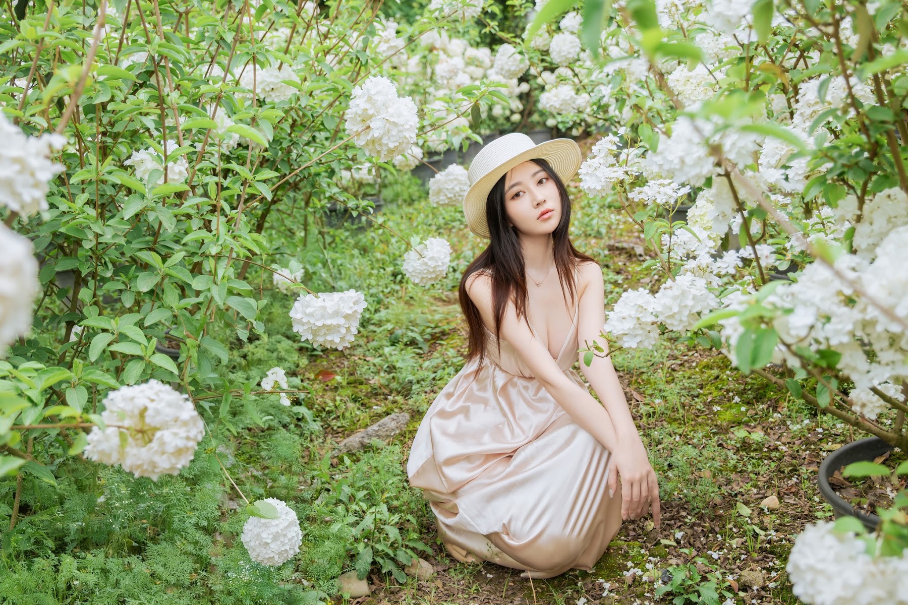 Coser@年年Nnian – 木绣球 - P10