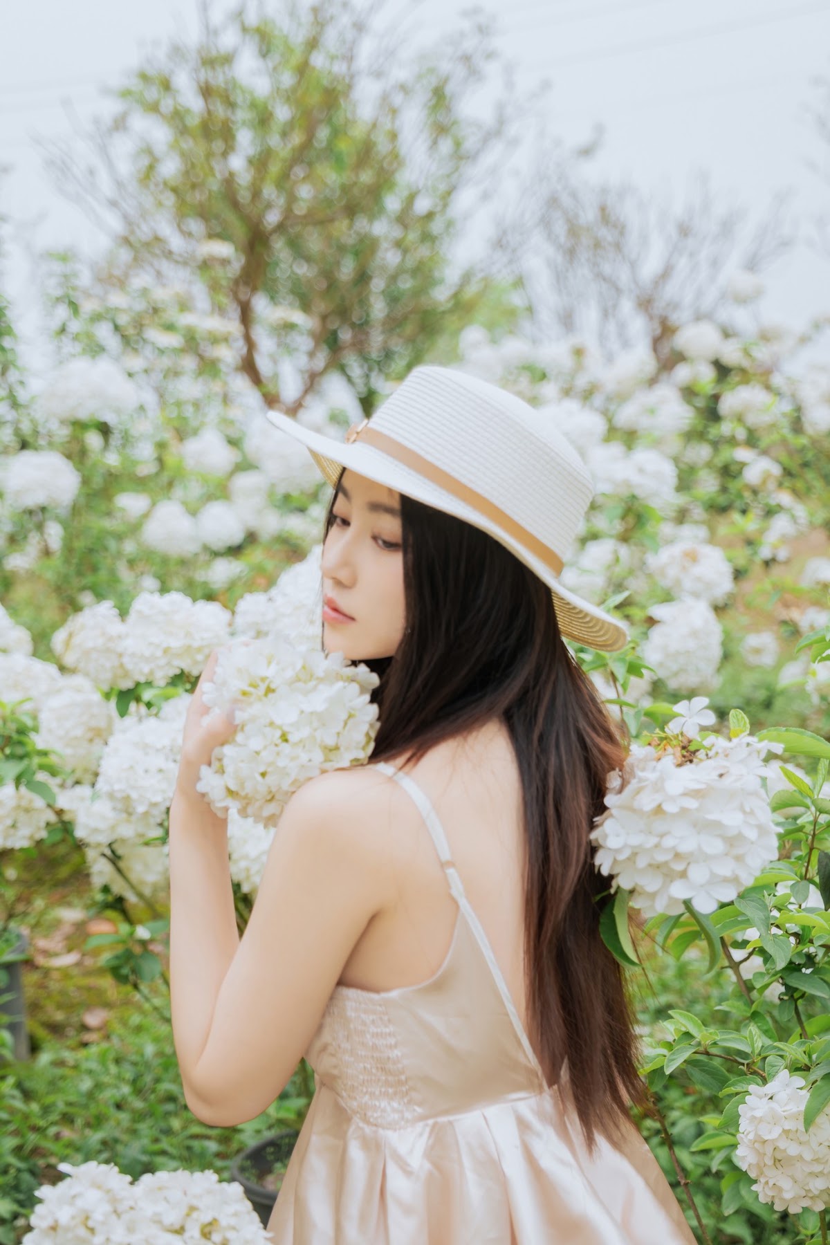 Coser@年年Nnian – 木绣球 - P17