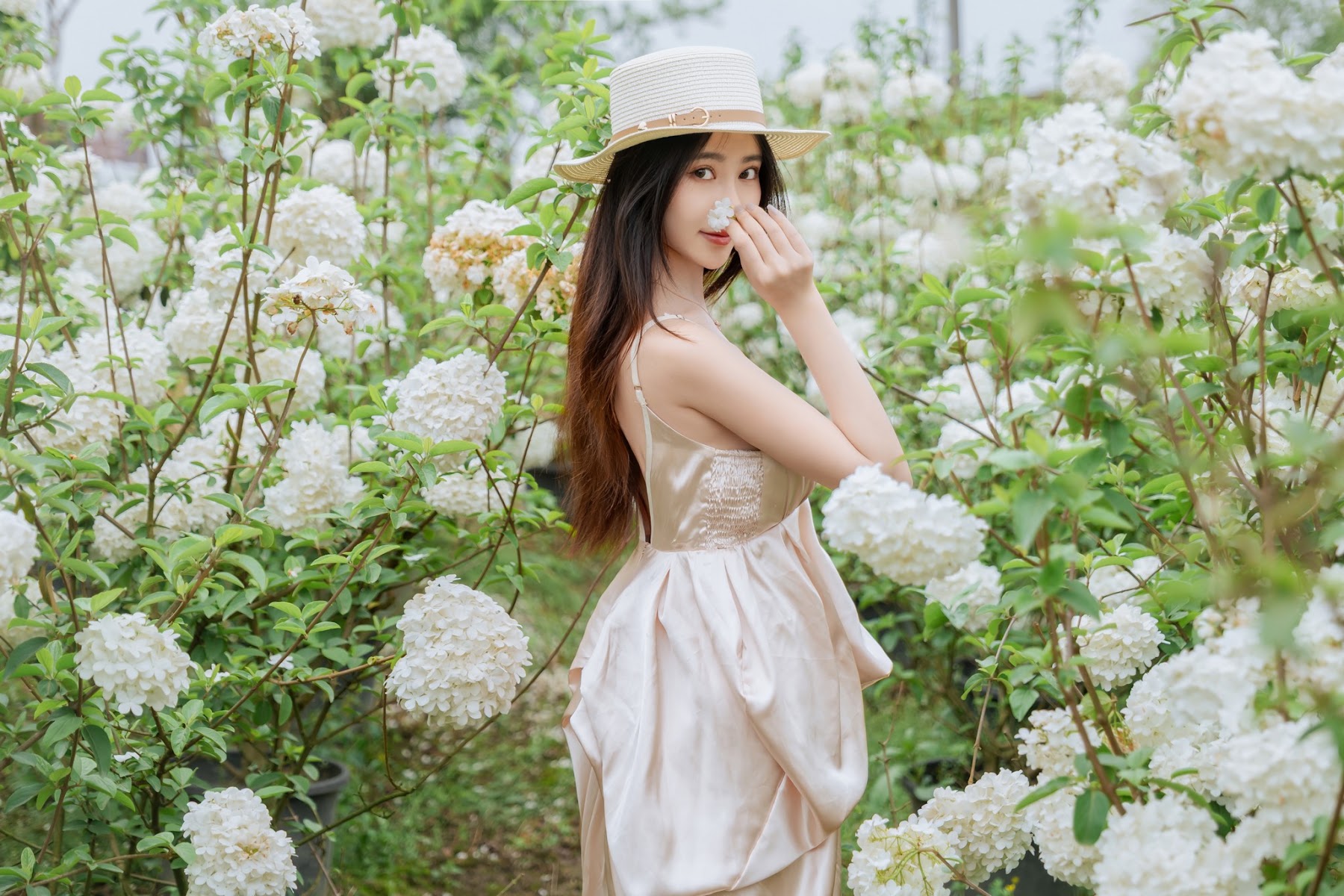 Coser@年年Nnian – 木绣球 - P1