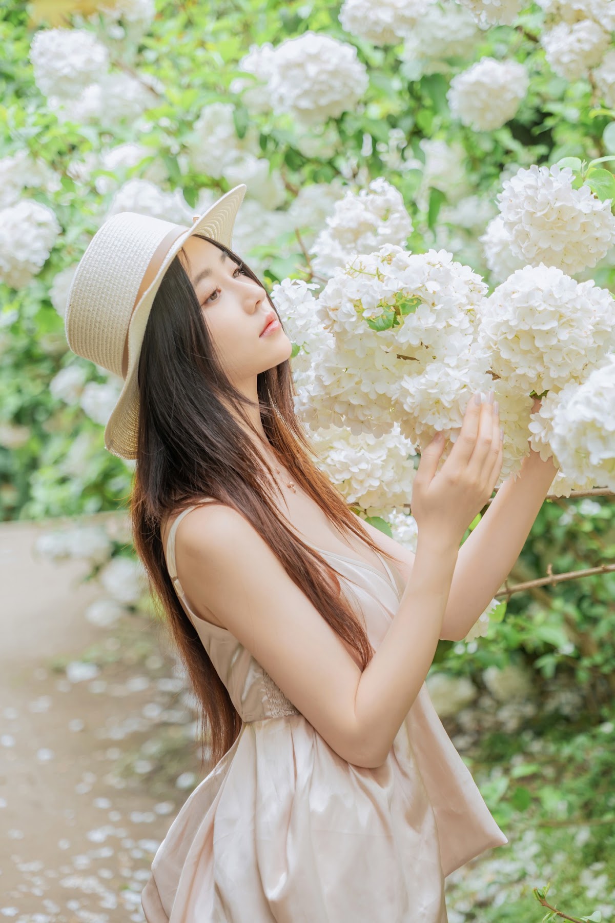 Coser@年年Nnian – 木绣球 - P71