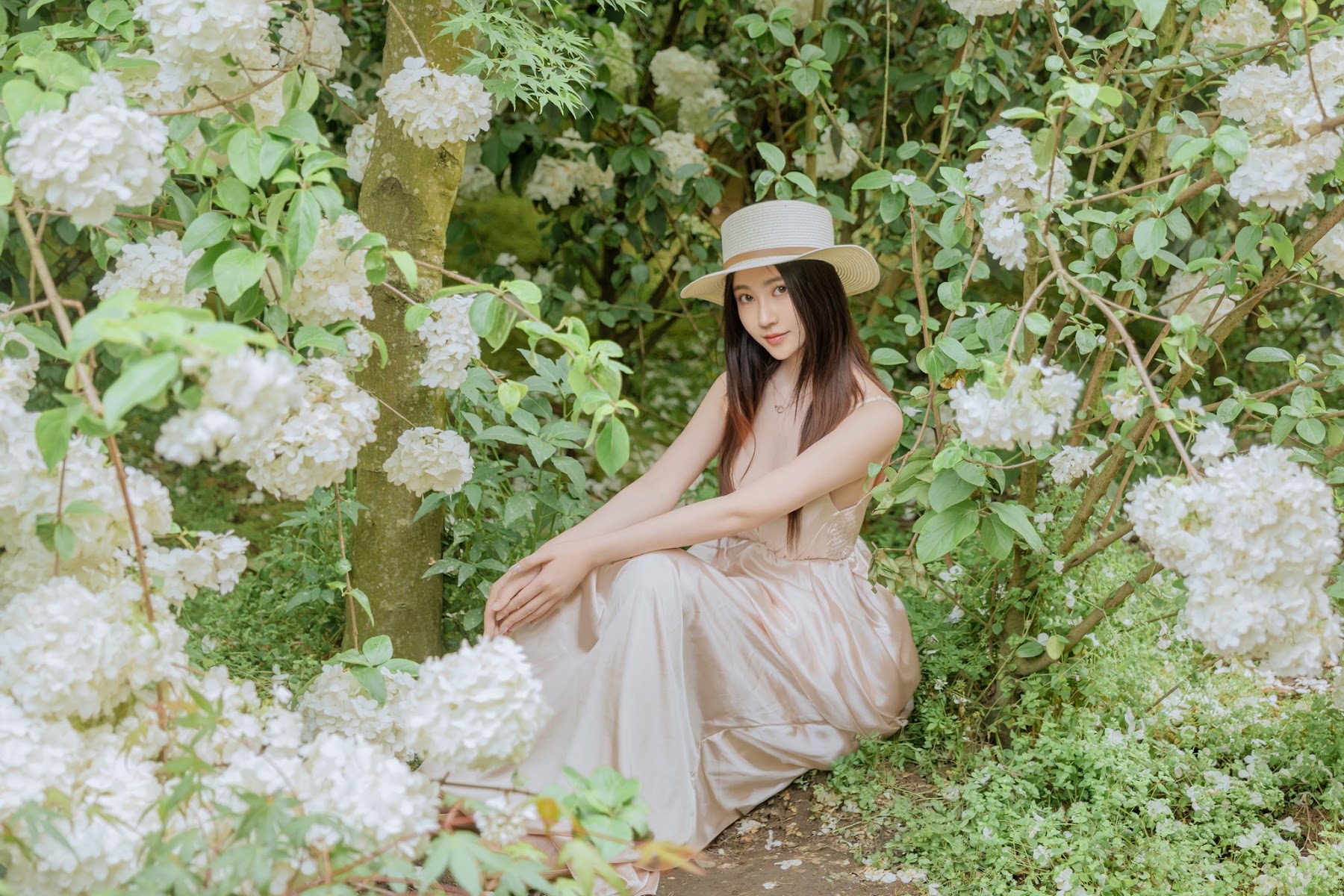 Coser@年年Nnian – 木绣球 - P75