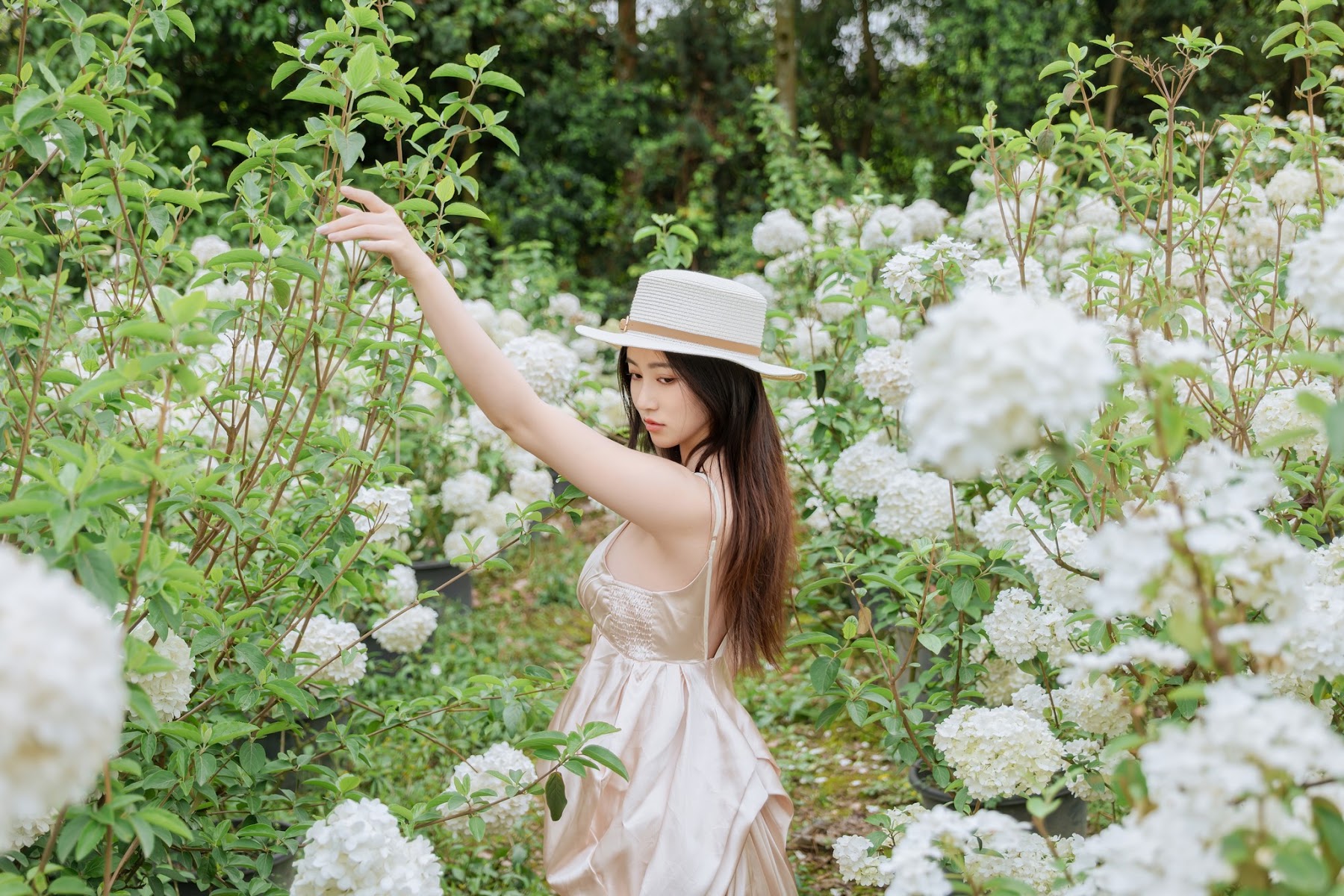 Coser@年年Nnian – 木绣球 - P8