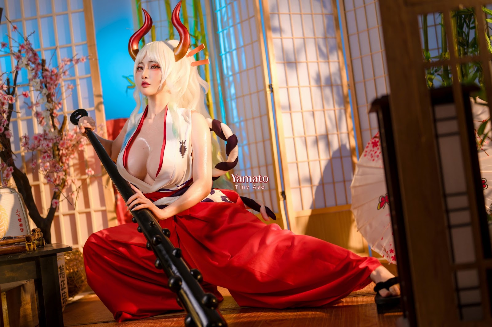 Coser@Tiny Asa – Yamato One Piece & 海贼王 大和 - P65