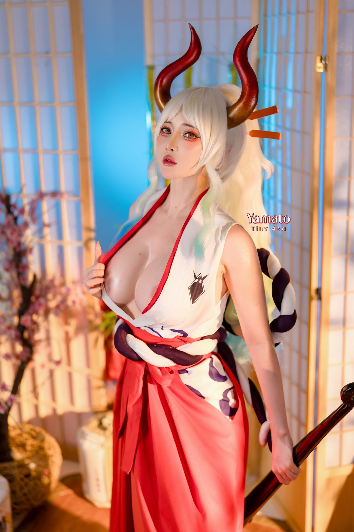 Coser@Tiny Asa – Yamato One Piece & 海贼王 大和 - P6