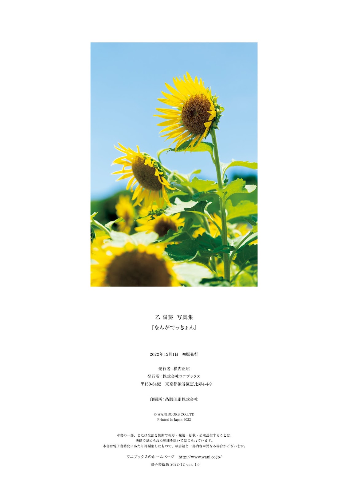 [JP] Himari Otsu (乙陽葵) – ファースト写真集 『 なんがでっきょん 』 - P111
